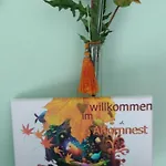 Ahornnest Bingen am Rhein