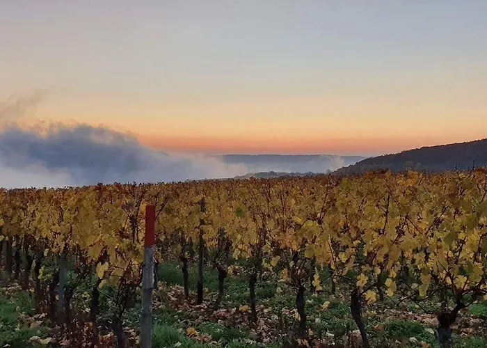 Apartment Ahornnest *